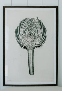 Framed Artichoke Print