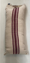 Grain Sac Pillow #3