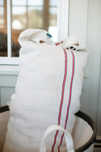 Grain Sac Pillow #4