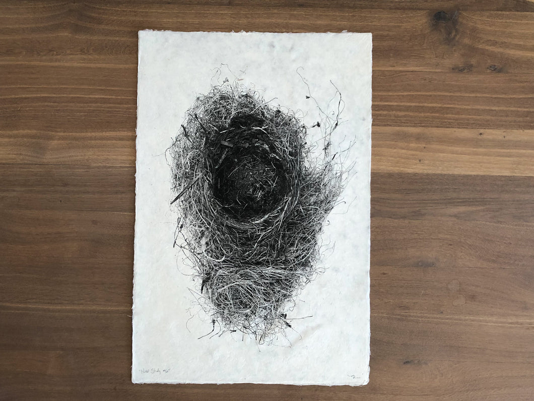 Nest Study #6 Print