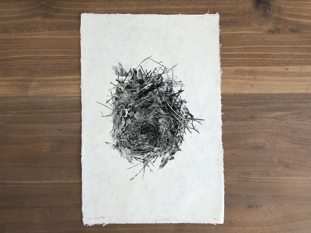 Nest Study #13 Print