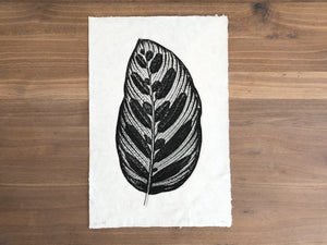 Leaf in Leaf Print Black